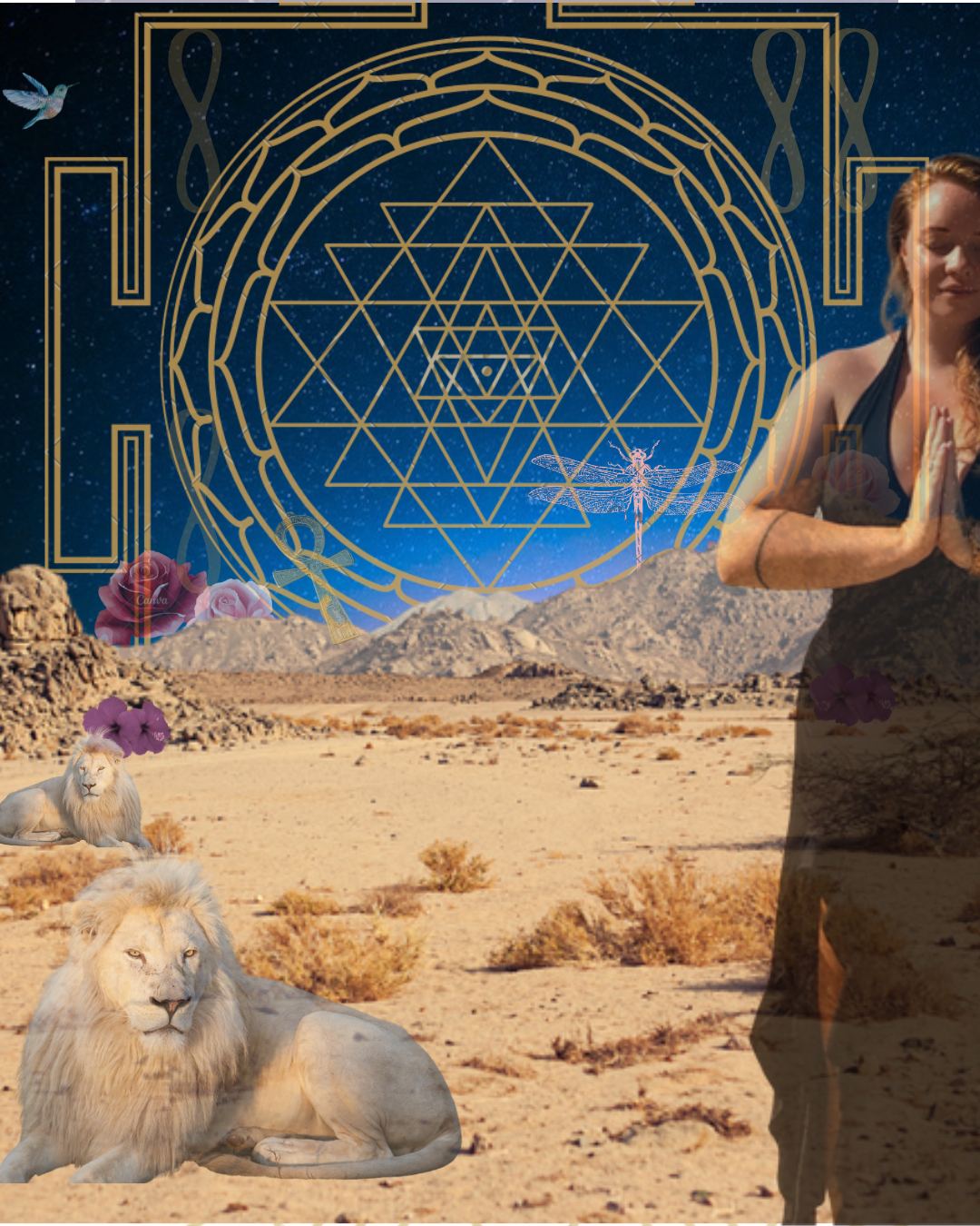 Root-Cause Hypnosis Experience
